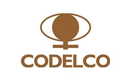 Codelco 智利國(guó)家銅業(yè)